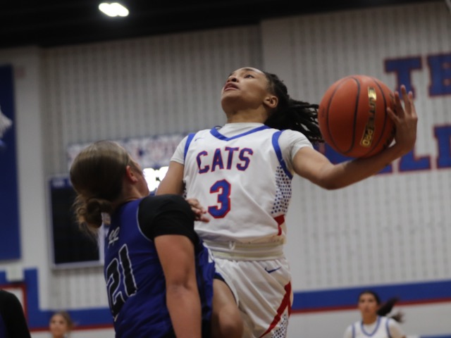 Tem-Cats knock off Robinson in home opener