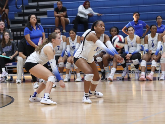Tem-Cats ease past Bryan 13-3