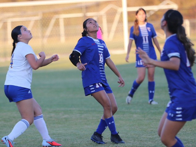 Wildcats Dominate in DeSoto Tournament Opener