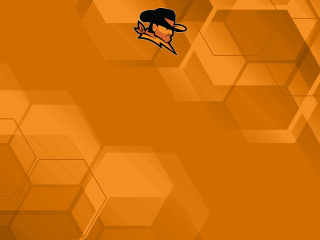 About Mascot Media