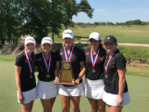 Ladycats finish second at District