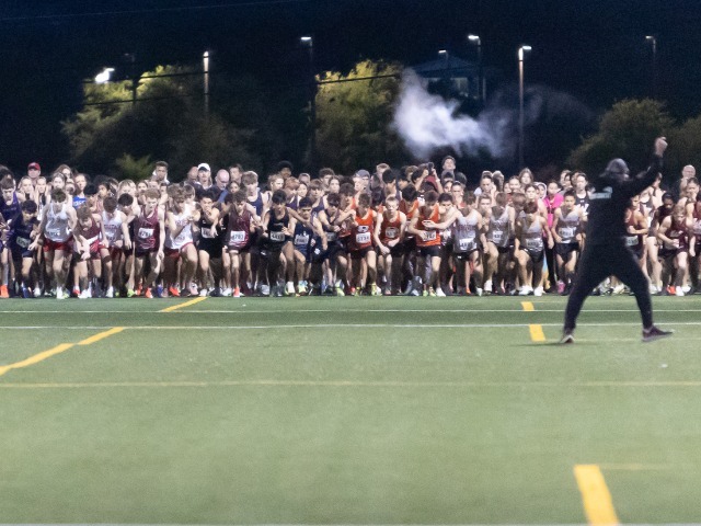 Clean Sweep | Denton Guyer