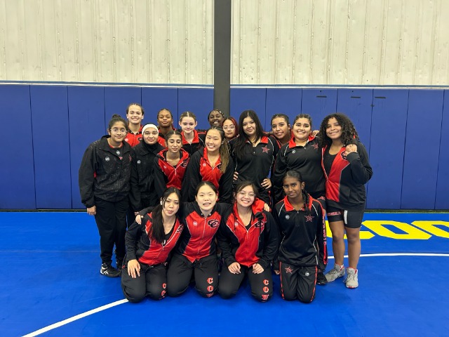 Image for 9th Grade Girls Squad Start the Wrestling Season Early 9th Grade Girls Squad Start the Wrestling Season Early image