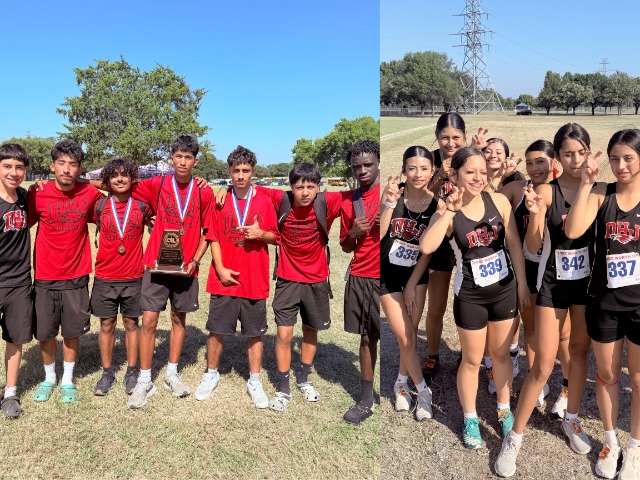 Cross Country District Performance