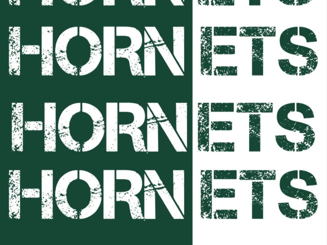 Lady Hornet Volley Team - Academic All District