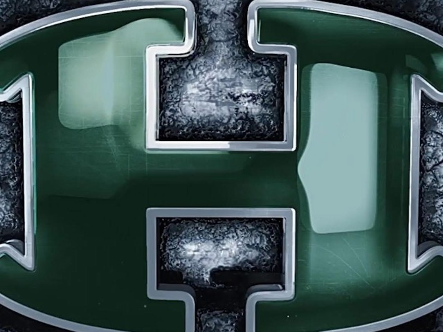 Lady Hornet Volley Team - Academic All District