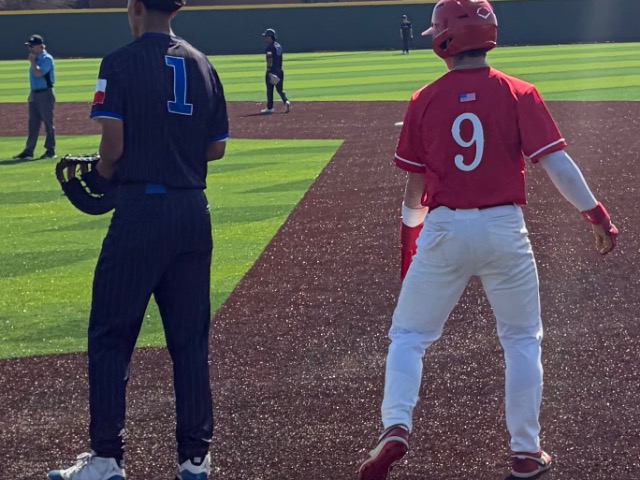 Tigers split double header 