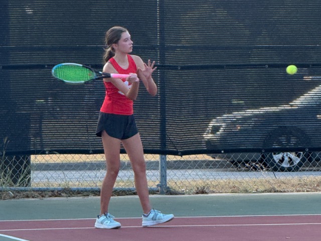 Tiger Tennis Rolls Shoemaker. 