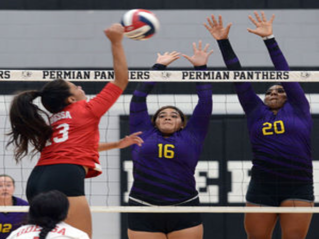Season opens with dual meet