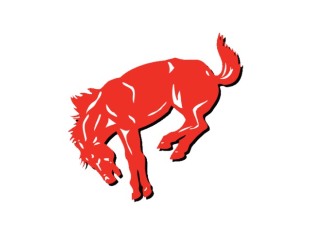 Panthers complete sweep of Bronchos, regain share of 2-6A lead