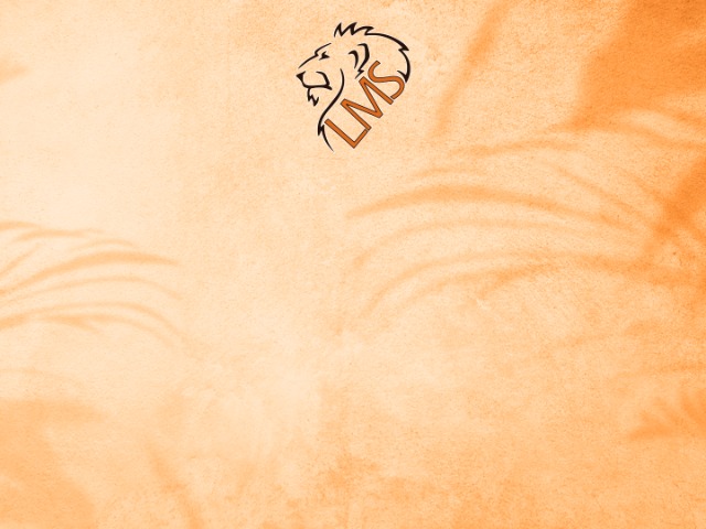 About Mascot Media