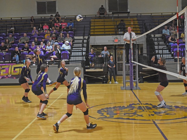 It's Tournament Time For Volleyball; Lady Bearcats Hosting Senior High Tournament