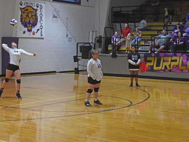 Lady Cats Start Week With Conference Win