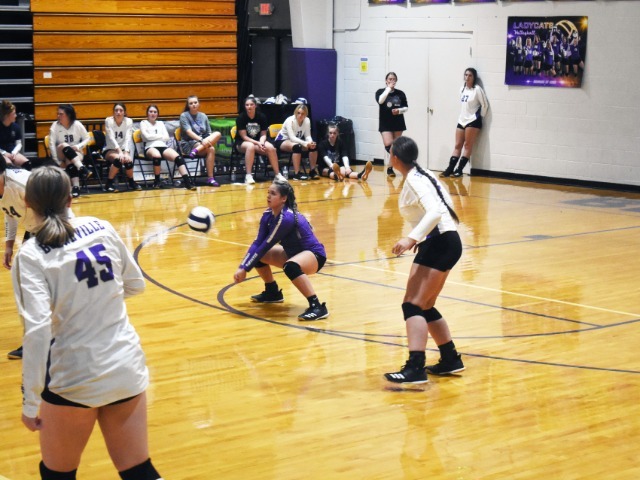 Lady Cats Have Perfect Week On Court