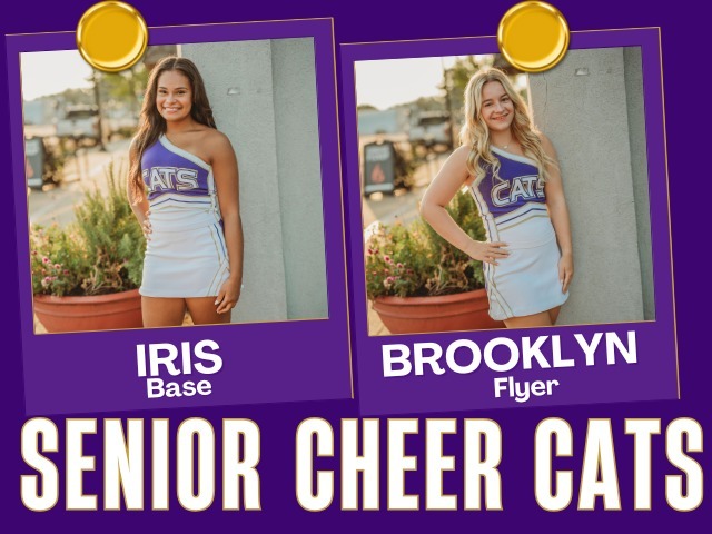 Competitive Cheer: More Than Meets The Eye