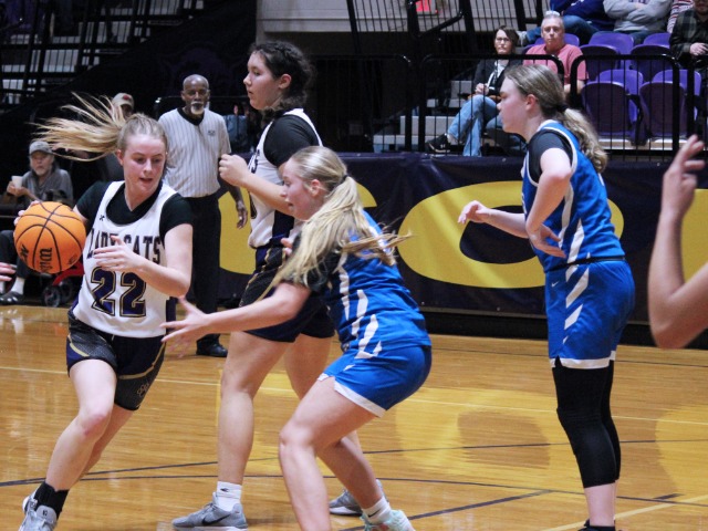 Bearcat Volleyball On Serve Against Green Forest