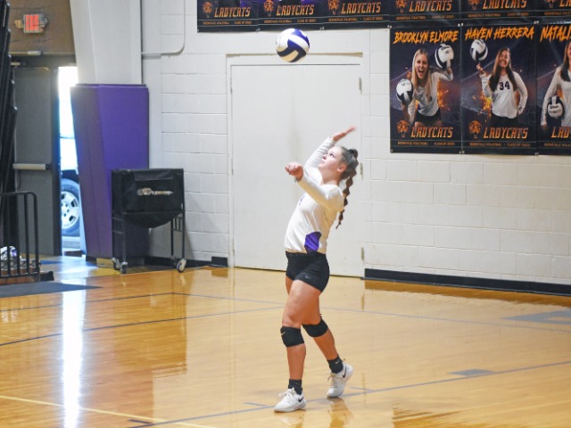 Bearcat Volleyball Picks Up Conference Win