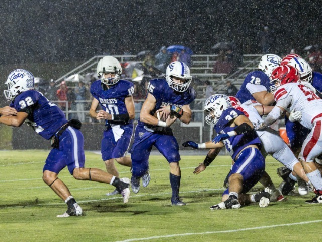 Defense Makes Whitehouse Touchdown Enough