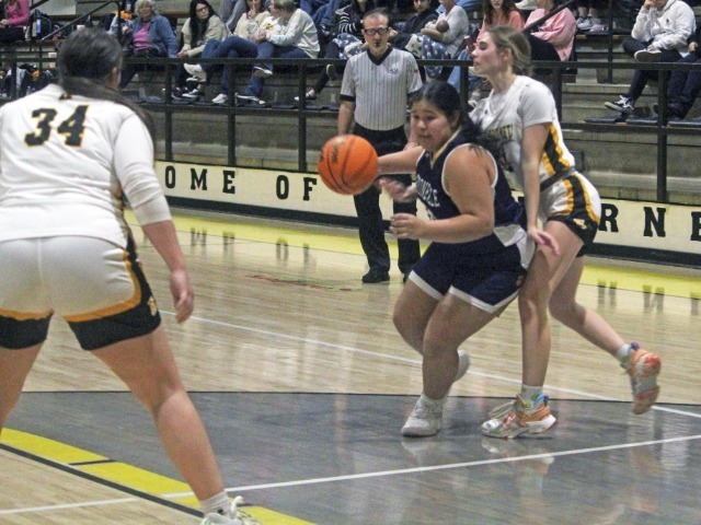 Lady Bearcat Offensive Erupts, Fitzjurls Logs First Points
