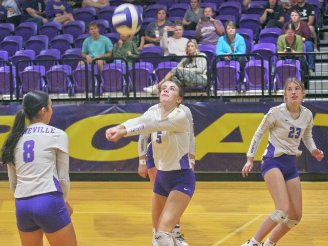Volleyball Bearcats Even Conference Record