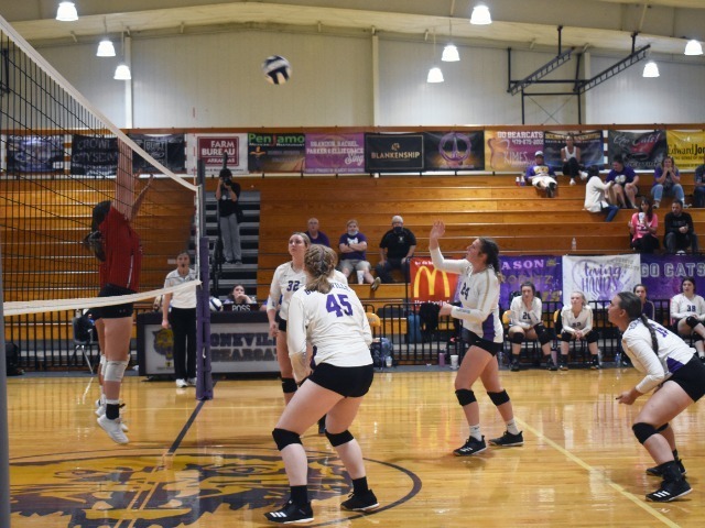 Lady Cats Sweep Clarksville On Senior Night