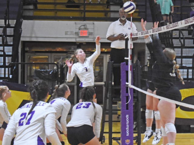 Bearcat Volleyball Gets First Win