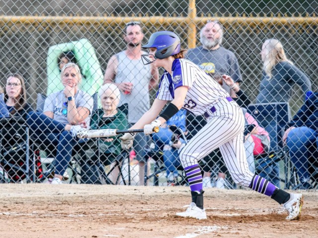 Lincoln Pulls Away From Lady Bearcats
