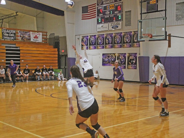 Lady Cats Split Matches Heading Into Tonight's Match