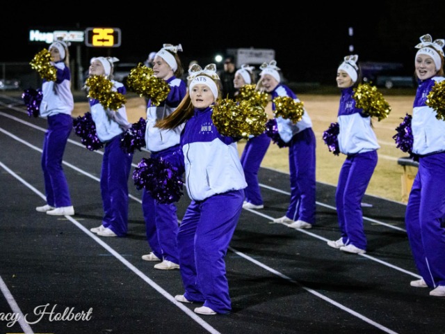 Cheer Cat Competition Season Underway