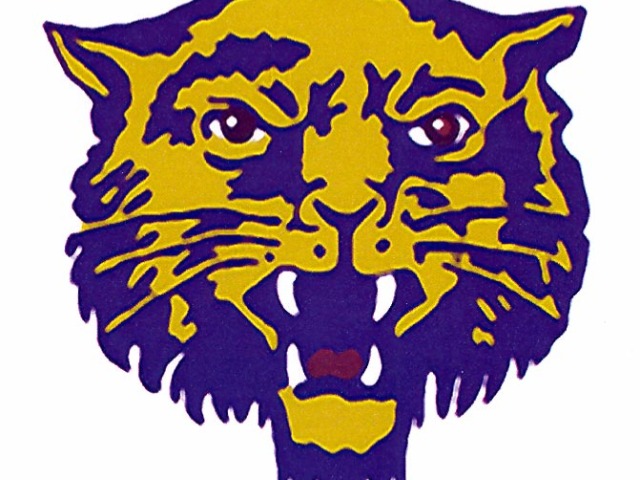 Droemer Completes Junior Bearcat Rally In Win Over Two Rivers