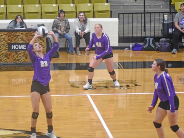 Volleyball Bearcats Fall In State Tournament
