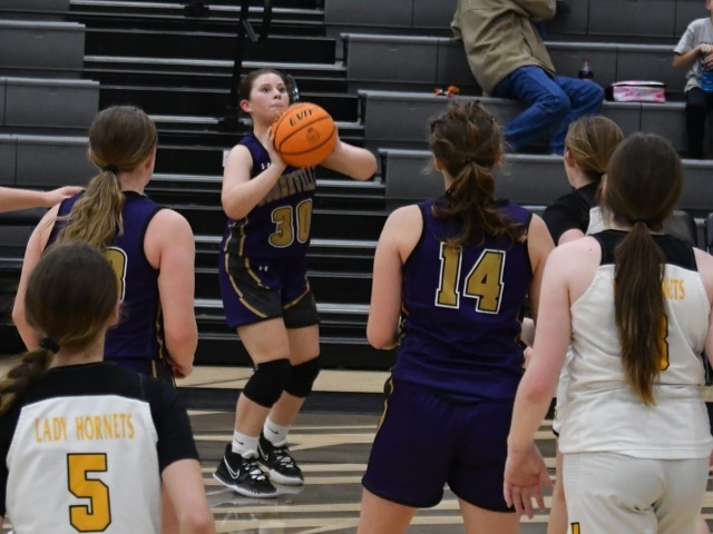 Junior Lady Bearcats Reach District Finals