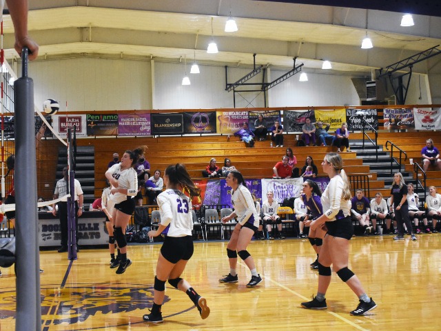Lady Cats One Win From State Tournament