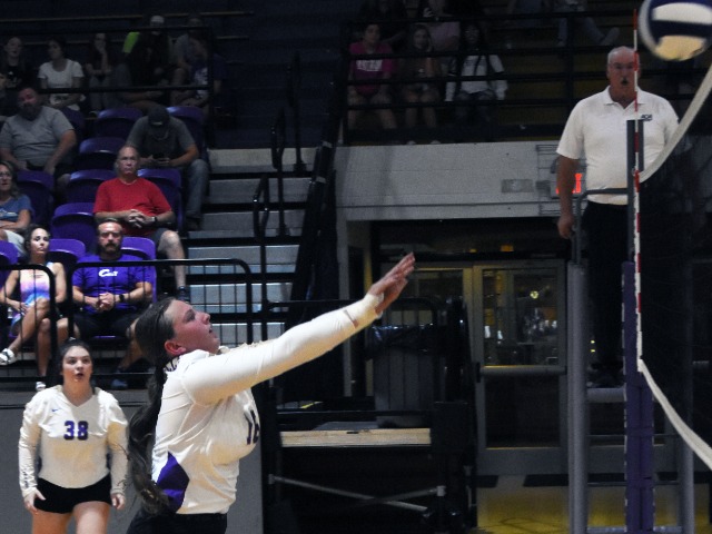 Stringer, Lady Cats Open Campaign In Mansfield