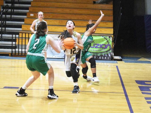 Comeback Effort Falls Short For Jr Lady  Bearcats