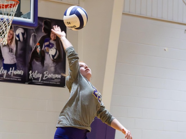 Bearcat Volleyball On Move To 3A-5