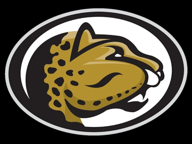 photo # 0 published on 2/18/2026