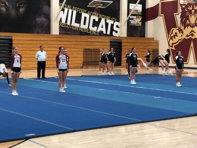 Lady cats up against GB in STUNT action