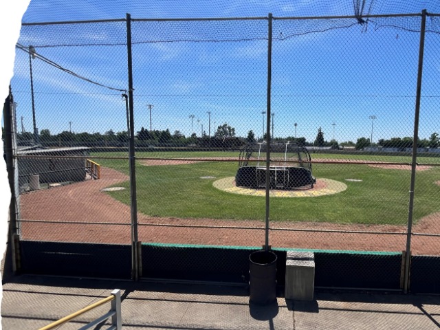 Honkers Baseball Season Opener: Showdown at Home!