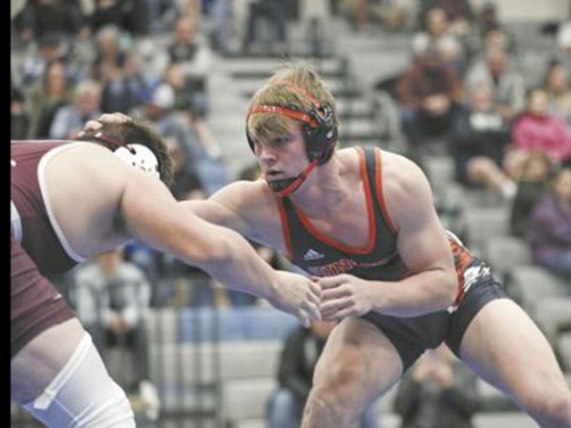 Disappointment fuels the fire for Tigers' Tobiasson