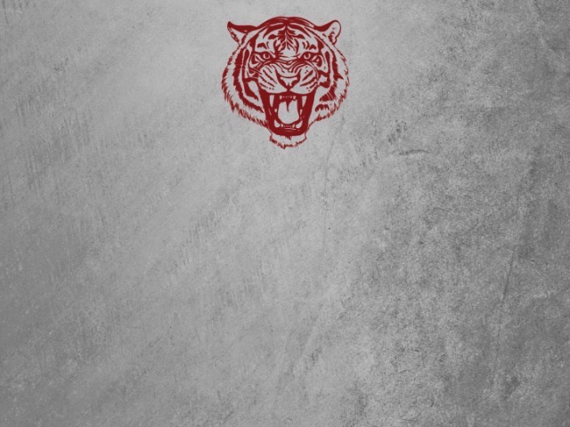 Wednesday Conditioning 11/26