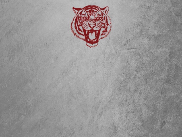 Wednesday Conditioning 11/26 - D Bats