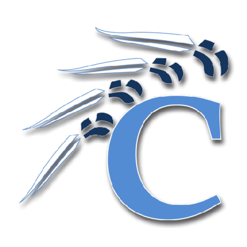 A look at the Clearwater Indians basketball 