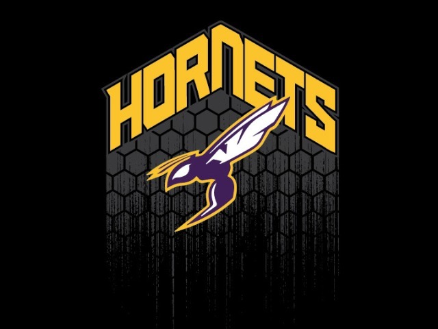 Hornet Girls Defeat the Andale Indians 43-33