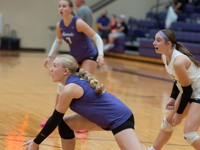 Hornet Girls Defeat the Andale Indians 43-33