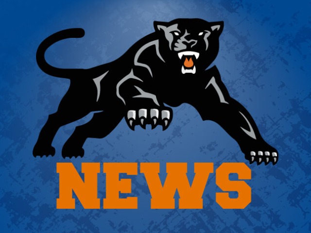 Robin changing roles with Frankfort High baseball