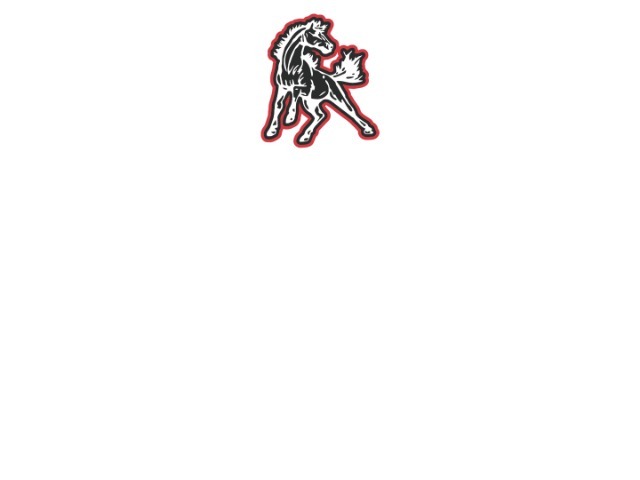 About Mascot Media