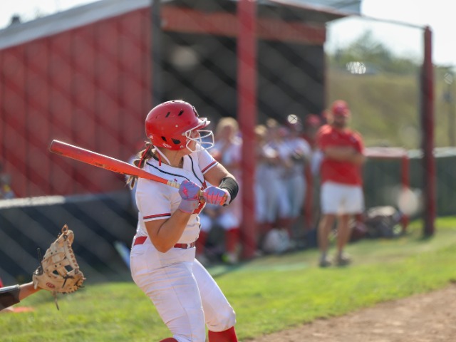 2026 Fall Preview: Ozark Softball