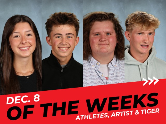 photo #2 published on 12/8/2025