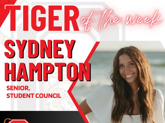 TIGER OF THE WEEK (SYDNEY HAMPTON) 